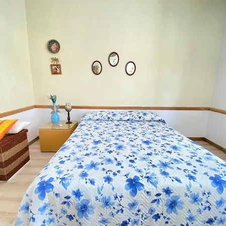 Apartment Birdy Center *
